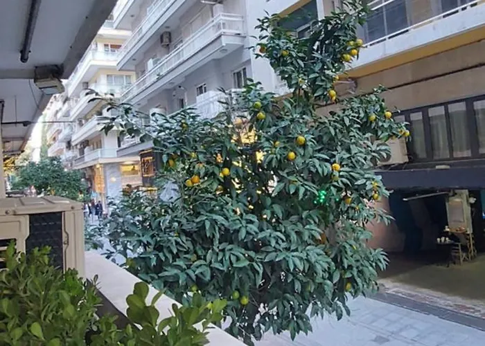 Urban Hide * Thessaloníki